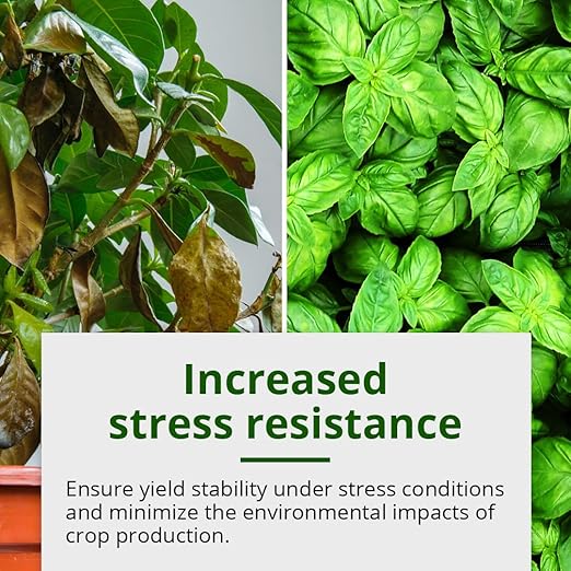 Humboldts Secret Tree Trunk - Silicate Additive - Advanced Nutrients - Helps Plants Flourish - Indoor Plant Food - Hydroponic Nutrients - Liquid Fertilizer (8 Ounce)