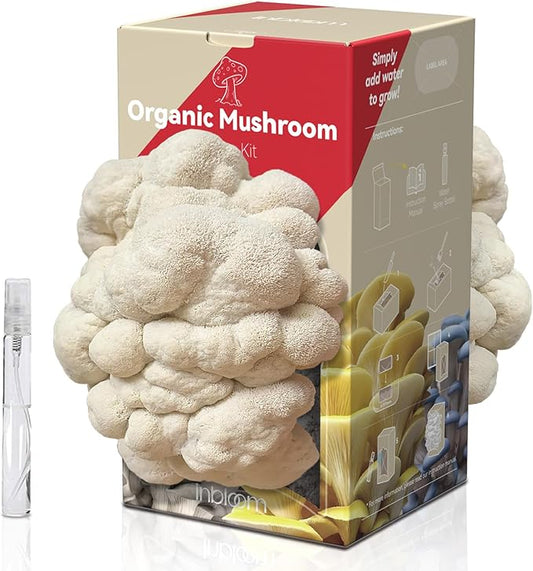 inbloom Large Organic Lion's Mane Mushroom Growing Kit (4 lbs) – Double-Side Growth, Edible Non-GMO Mushroom Kit, Beginner-Friendly, Harvest Mushrooms at Home, Indoor Gardening Gift for Adults