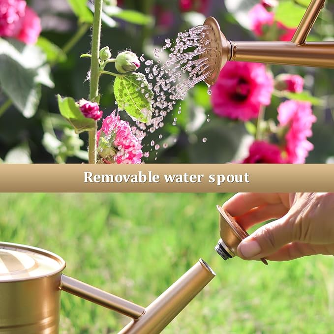 Watering Can for Outdoor Plants and Indoor Plants,1 Gallon Metal Watering Can for Garden Flower,Galvanized Steel Metal Water Can Watering Pot with Sprinkler Head