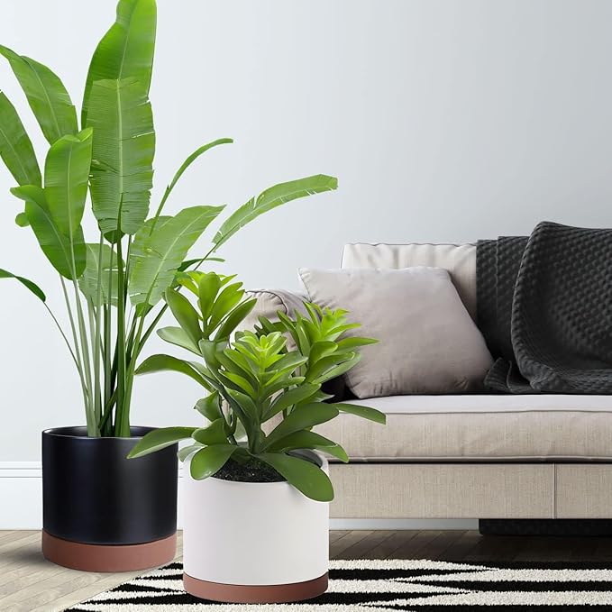 2 Pack Ceramic Plant Saucer Pot Tray 6 Inch, Planter Saucers 4 5 6 7 8 9 10 11 12 13 Inch for Indoors Outdoor, Durable Sturdy Flower Drainage drip Water Tray for Glazed Pots Base (6.4 Inch-Brown)