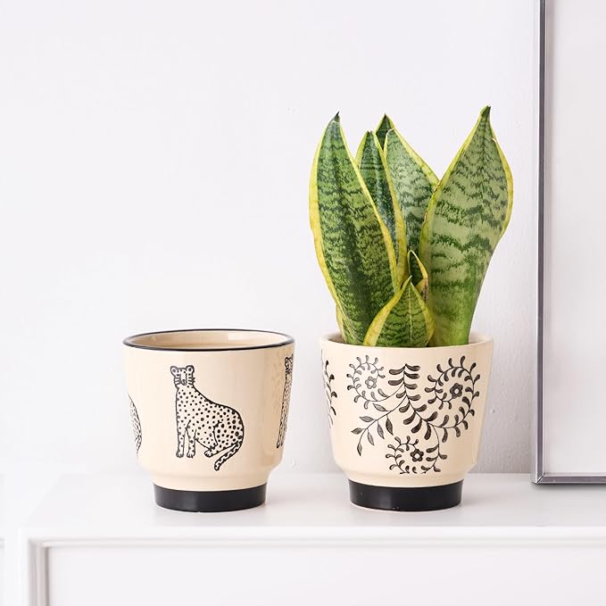 Indoor Ceramic Plant Pots with Drainage Holes 5 Inch Cute Succulent Flower Pots Small Orchid Planter Pots for Indoor Plants Garden Pots, Flower