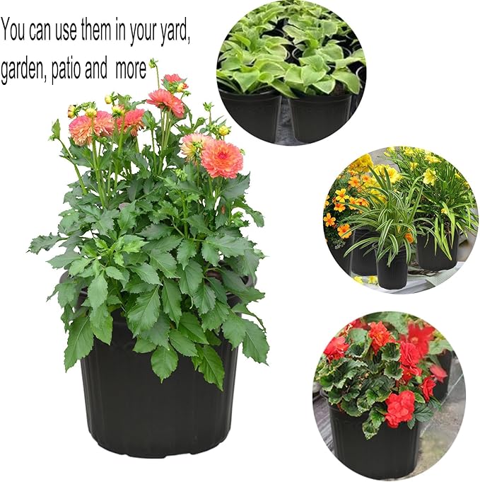 12-Pack 5 Gallon Flexible Plastic Plant Pots,Thickened Soft Seed Starting Container for Indoor Outdoor Plants, Seedlings, Vegetables, Succulents and Cuttings