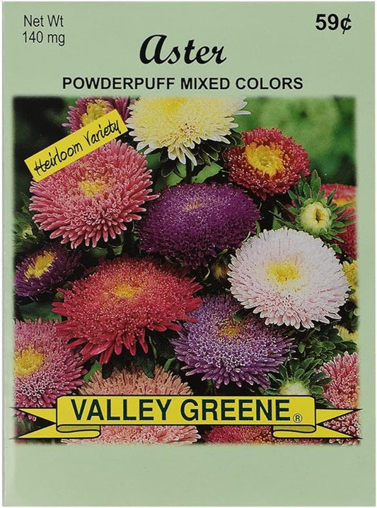 Set of Flower Seed Packets! Flower Seeds in Bulk - Great for Creating The Garden of Your Dreams! (25, Aster - Powderpuff Mix)