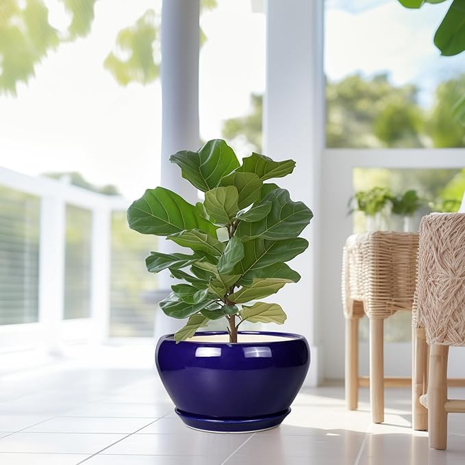Ceramic Planter - 13 Inch Indoor Plant Pot for Plants with Drainage Hole and Saucer Large Planter Round Outdoor Flower Pot Mid-Century for House Patio Room Decor Blue