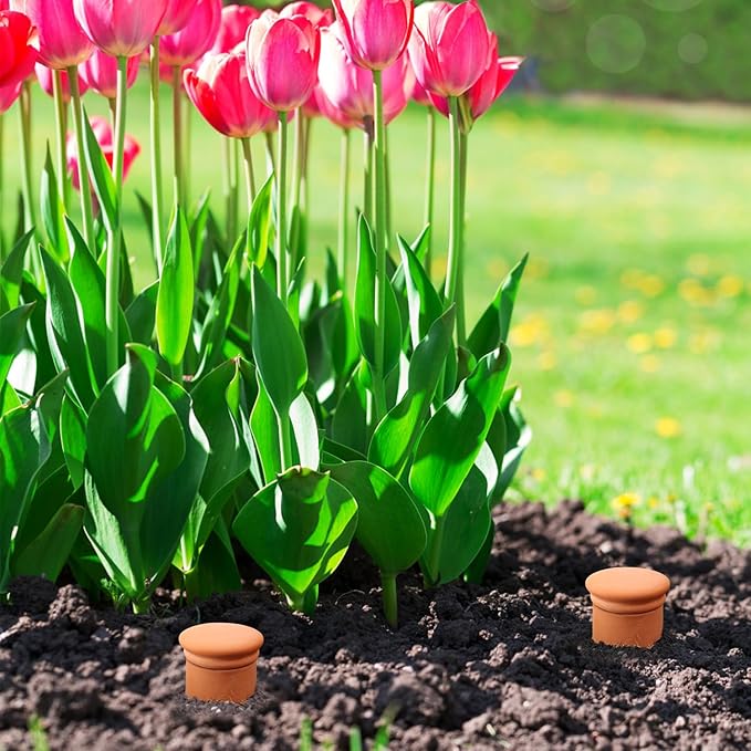 Large 10×6×6inch Terra Cotta Watering Pots 110oz Terra Cotta Watering Terracotta Watering Spikes Self Watering Planter Watering Pot with Lid for Outdoor & Indoor Plants