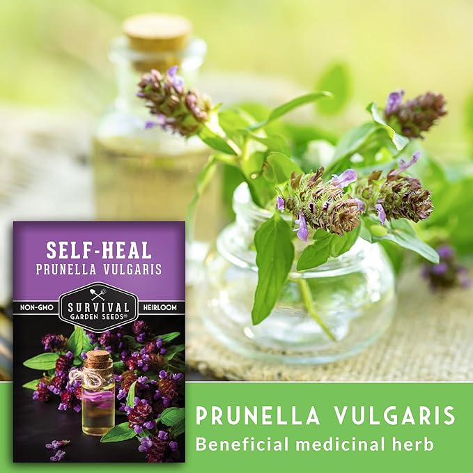 Survival Garden Seeds Selfheal Seed for Planting - 2 Packs with Instructions to Plant & Grow All-Heal Perennial Herb Plants in Your Home Flower & Herb Garden - Non-GMO Heirloom Variety