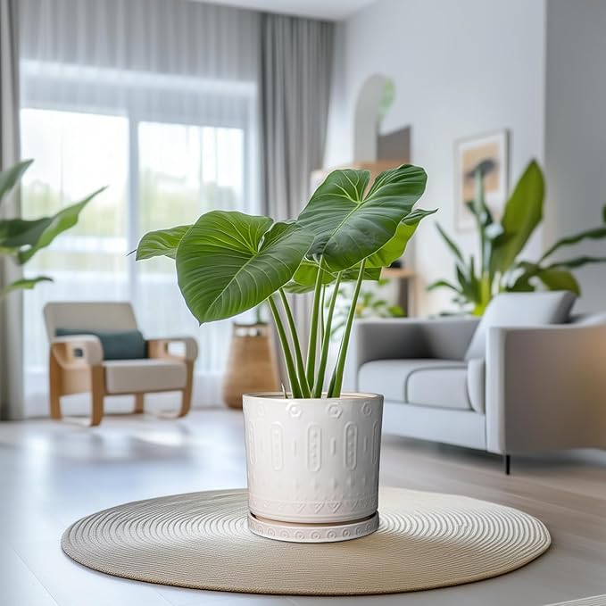 Ceramic Pots for Plants 12 Inch - Large Ceramic Planters for Indoor Plants Outdoor Modern Flower Pot with Drainage Holes and Saucer for Office Garden Patio White