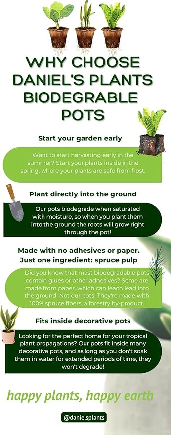 Daniel's Plants 2" Naked Pots | Natural Plantable Seed Starter Trays | OMRI-Listed Biodegradable Tray For Seedlings | Enhanced Drainage & Aeration | Earth Friendly - Peat Free | 100 Pack 2 Inch Square