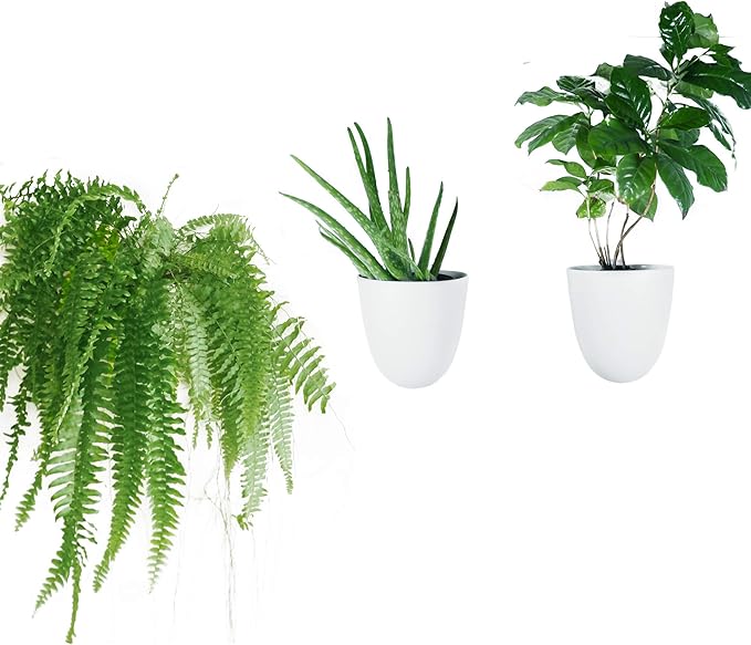 PlantPod Luxe Self-Watering Wall Planters (Set of 3) - Easy to Water and Install - Lightweight - Design Your Own Vertical Garden - Wall Planters for Indoor Plants