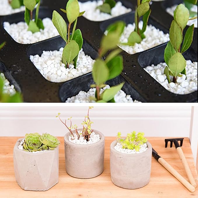 45LB 1/4in White Gravel for Succulent,Cactus Bonsai,DIY Terrarium, Fairy Gardening, Top Dressing,Aquarium