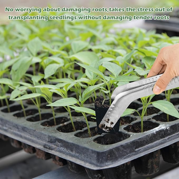 1PCS Seedling Transplant Tongs Stainless Steel Seedling Starters Remove Tongs Seedling Transplanting Tool Seedling Easy Transplanter with Anti-Slip Grasp Tips to Reduce Damage to Roots
