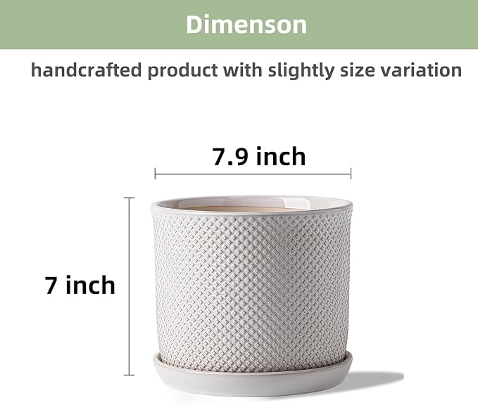 8 Inch Plant Pots: Ceramic Planter with Drainage Hole & Saucer - Flowerpot for Indoor & Outdoor Plants - Beaded Embossed Design White - with Separate Tray
