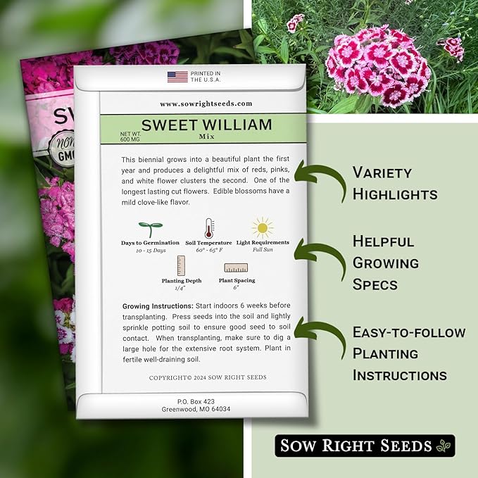 Sow Right Seeds - Sweet William Mix Flower Seeds for Planting - Beautiful and Edible Biennal Variety - Non-GMO Heirloom Packet to Plant Home Flower Garden - Fragrant Blooms to Attract Pollinators
