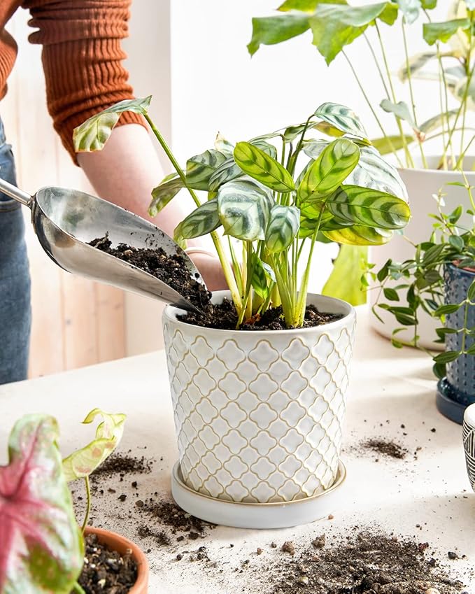 LE TAUCI Ceramic Plant Pots, 5.4 Inch Pots for Indoor Plants, Planters with Drainage Hole and Saucer, Flower Pots for Succulent, Snake Plants and Cactus, Set of 2, Reactive Glaze White