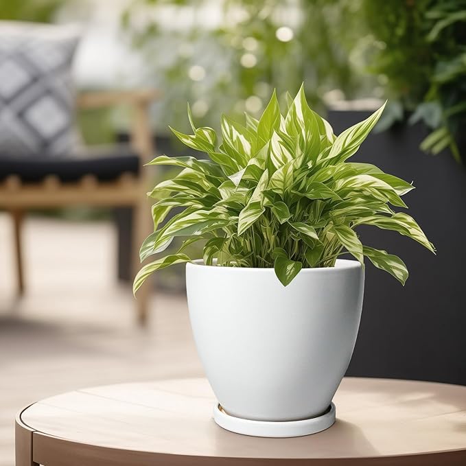 Ceramic Pots for Plants - 6 Inch Plant Pot with Drainage Hole and Saucer, Succulent Round Flower Planters for Indoor, Home Decor, White