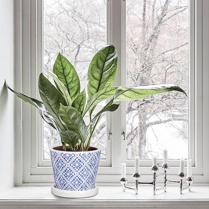 Set of 3 Decorative Plant Pots Blue and White Flower Pot, Round Ceramic Planters for Indoor Plants Pots with Drainage Hole Saucers, Retro Planter Pot for Succulents Cactus Outdoor Garden, 5.5/5.7 Inch