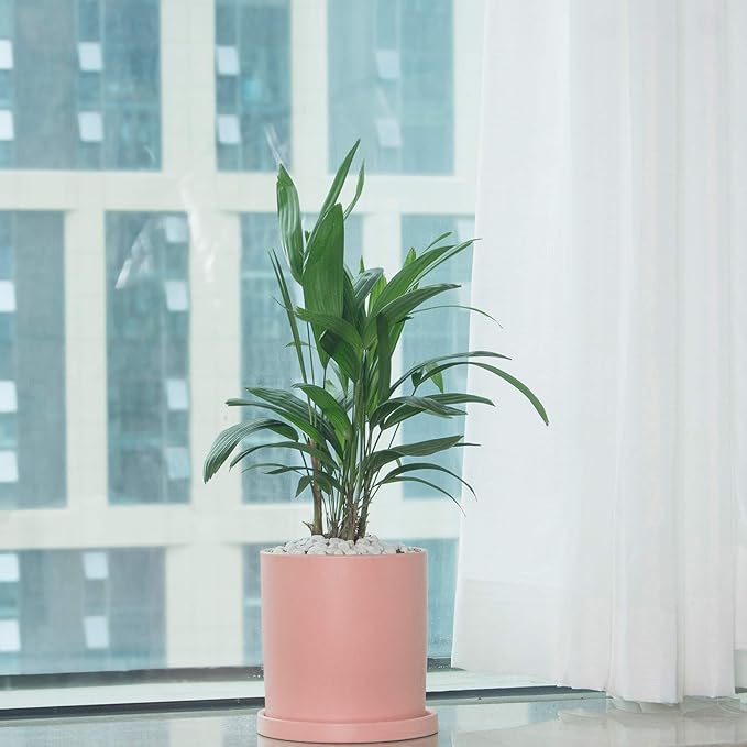 Planters for Indoor Plants Ceramic Flower Succulent Plant Pots with Drain Hole Saucer Decor for Home Office (4 inch Pink)