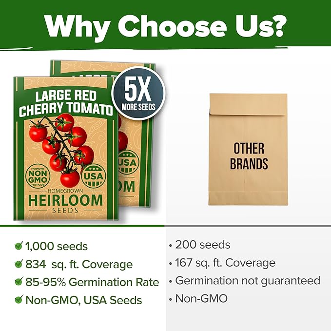HOME GROWN Large Red Cherry Tomato Seeds 2 Pack (Solanum lycopersicum) - Approx.1000 Non-GMO Heirloom Tomato Seeds for Planting Vegetable Seeds for Homesteading, Sustainable Living, and Home Gardening