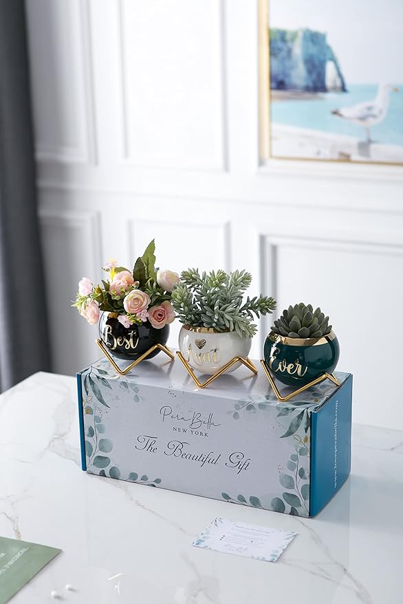 Aunt Gifts, Gifts for Aunt from Niece & Nephew, Best Aunt Ever Gifts, Birthday Gifts for Aunt, Auntie Gifts from Niece Nephew, Great Aunt Gifts, Gardening Gifts for Aunt Unique, 3 Succulent Pots Only