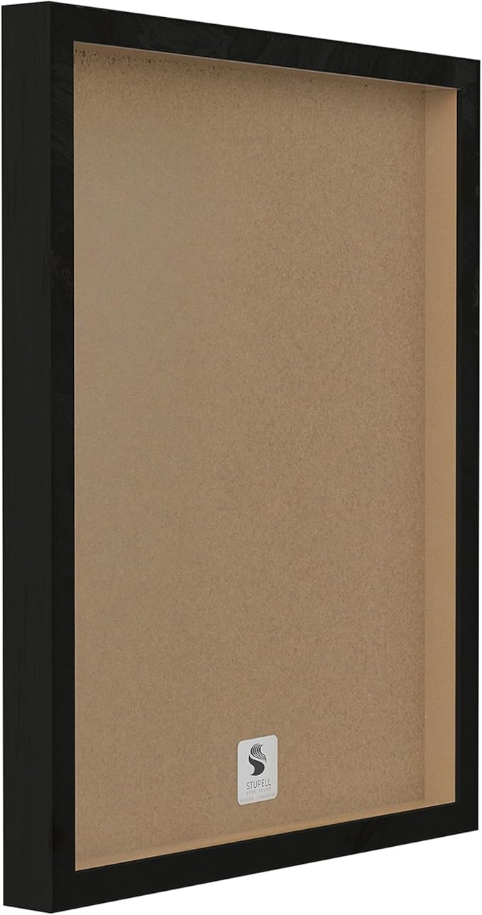 Stupell Industries Botanical Plant Illustration Seeds Vintage Design Black Framed Wall Art, Multi-Color 11 x 14