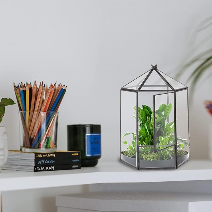 Glass Geometric Plant Terrarium,Succulent & Air Planter for Home Garden Office Decoration,No Plants(Black Hexagonal)