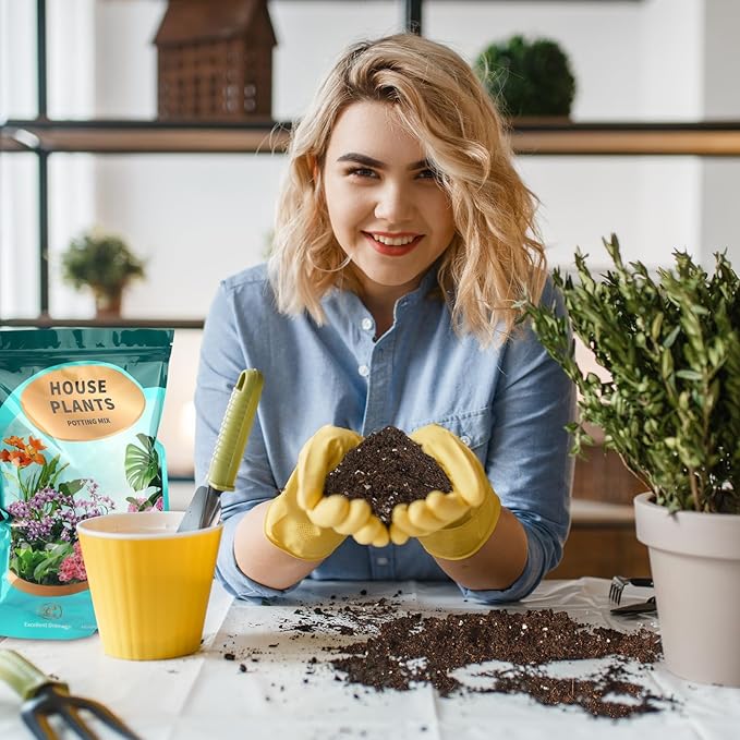 Potting Soil Mix for Indoor Plants 1qt, Organic Houseplant Soil Well Draining Dirt Ready to Use, Fit for House Plant Like Pothos, Philodendron, Monstera, African Violet