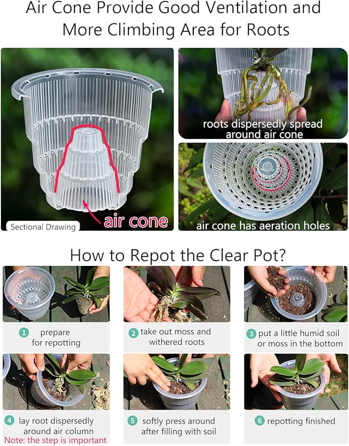 6 inch Orchid Pots with Holes,Set of 1,Double Layer Plastic Imitate Ceramic Orchid Planter Provide Good Air Circulation,Clear Orchid Pot Match Decorative Orchid Container