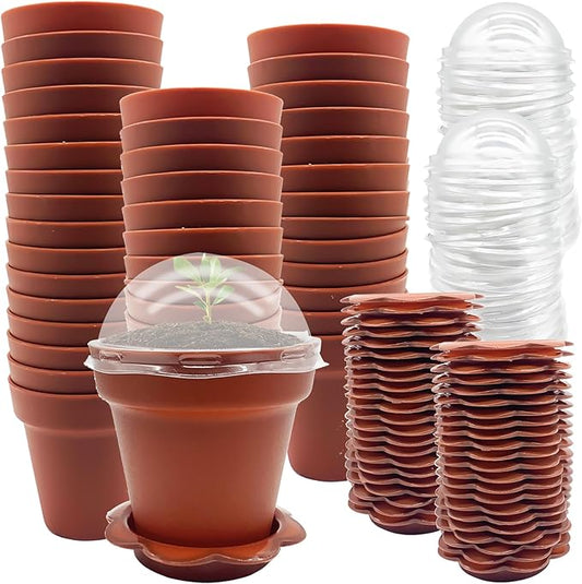50 Packs Cupcake Plant Nursery Pots with Humidity Dome- Planting Containers Cups- Small Flower Pots with Trays & Lids for Indoor Outdoor Seedling Succulent Vegetable (Wine Red)