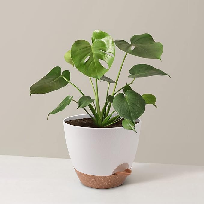 Giraffe Creation Plant Pots Set of 3 (12/10/9 inch), Self-Watering Indoor & Outdoor Flower Planters with Drainage Hole and Reservoir, White