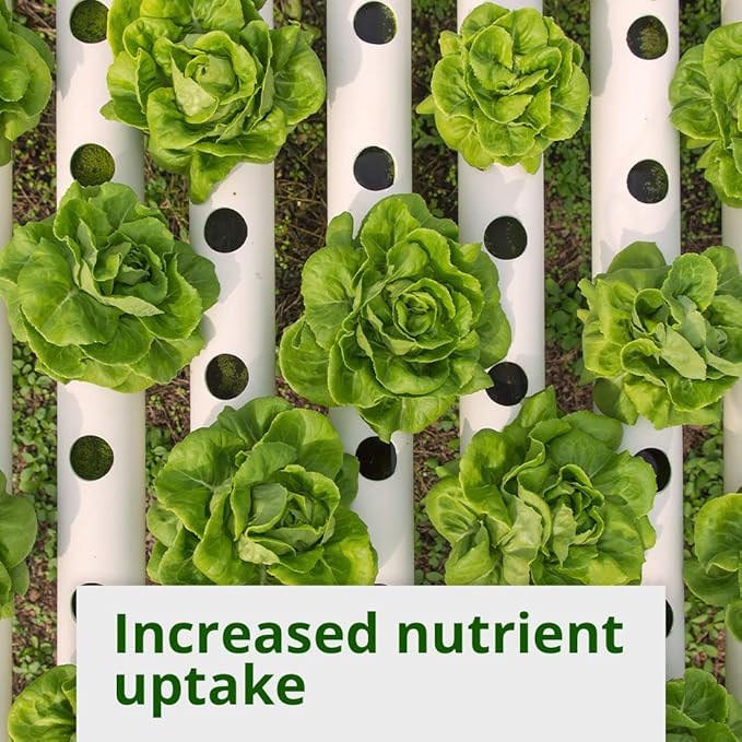 Best Plant and Root Enzymes - Humboldts Secret Plant Enzymes - 7,000 Active Units of Enzyme per Milliliter. (2.5 Gallon)