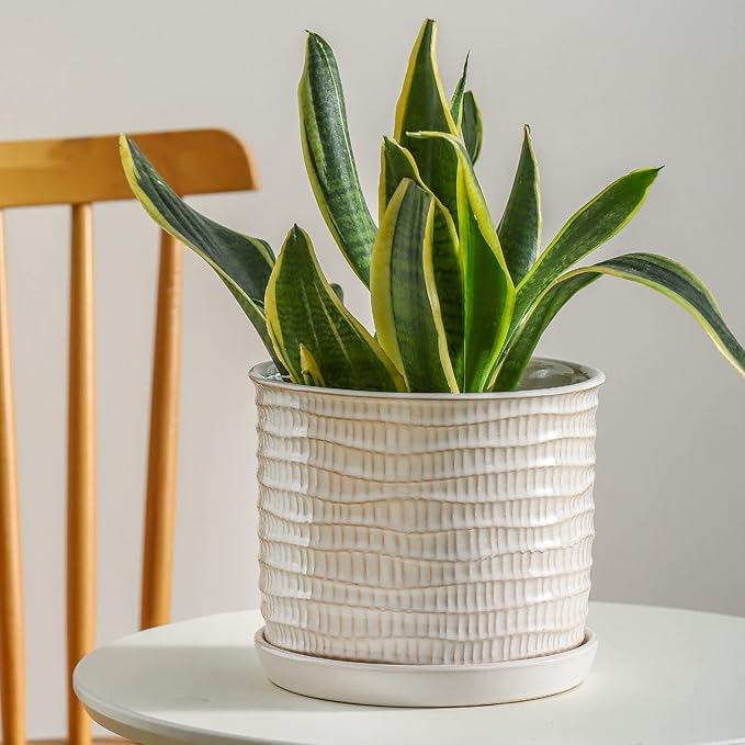 8 Inch Plant Pot: Ceramic Planter with Drainage Hole & Saucer for Indoor Outdoor Plants - Flowerpot with Bonded Tray for Home Office - Wave Embossed