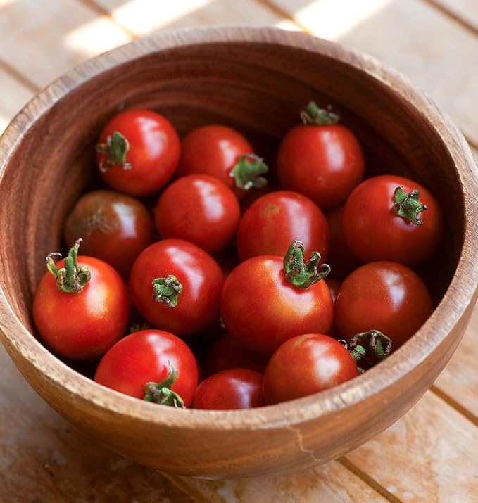Burpee 'Sweetheart of the Patio', Red Cherry Tomato, 10 Non-GMO Seeds