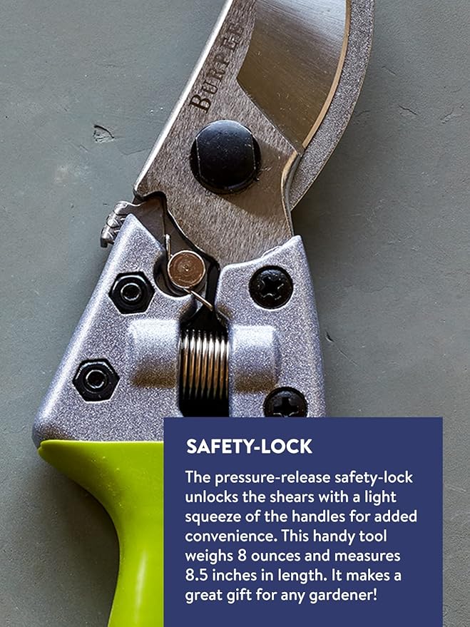 Burpee CR850 Bypass Garden Pruner - Pruning Shears - Long-Lasting Garden Tools - Great for Trimming Shrubs or Harvesting Vegetables - 8.5 Inches