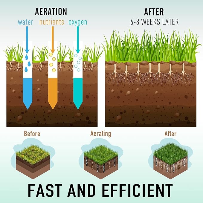Colwelt Spike Lawn Aerator, Manual Aerator for Compacted Soils and Lawns, Non-Slip T-Handle Spike Aeration with Four 3.5-Inch Solid Steel Spikes, 38-Inch