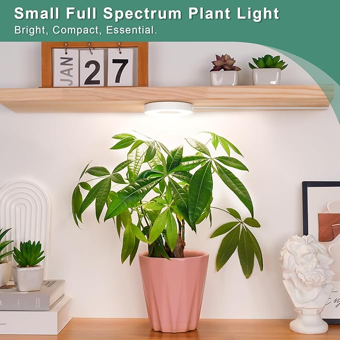 LORDEM Grow Light for Indoor Plants, 48 LEDs Ceiling Full Spectrum Plant Light, 5V Corded Growing Lamp with 4/8/12H Auto Switch, 4 Dimmable Brightness Levels, Ideal for Small Plants