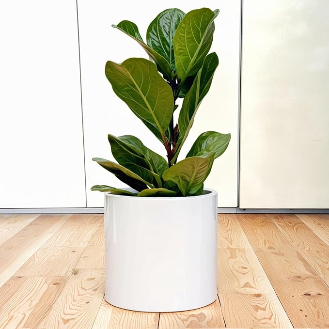 Fox & Fern Large 12 Inch Planter — Premium Lightweight Fiberstone Glossy White Plant Pot; Drainage Plug; Large Indoor & Outdoor Floor Planter; 12 Inch Pots for Plants; Weather Resistant & UV Resistant