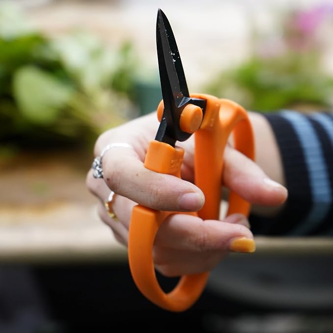 Flower & Garden Scissors With Black Blades 7.0 Inch, Ornithogalum (Orange)