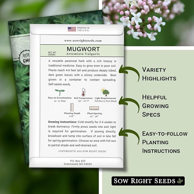 Sow Right Seeds - Mugwort Seeds for Planting - Non-GMO Heirloom Packet with Instructions to Plant an Outdoor or Indoor Herb Garden - Rare Perennial, Wild Wormwood - Medicinal & Culinary Cronewort (3)