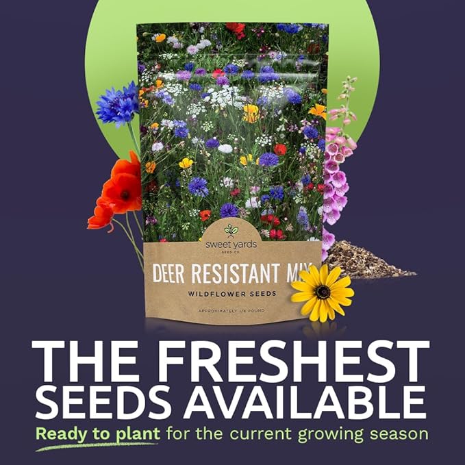 Deer Resistant Wildflower Seed Mixture - Bulk 1/4 Pound Bag - Over 60,000 Deer Tolerant Seeds - Open Pollinated and Non GMO