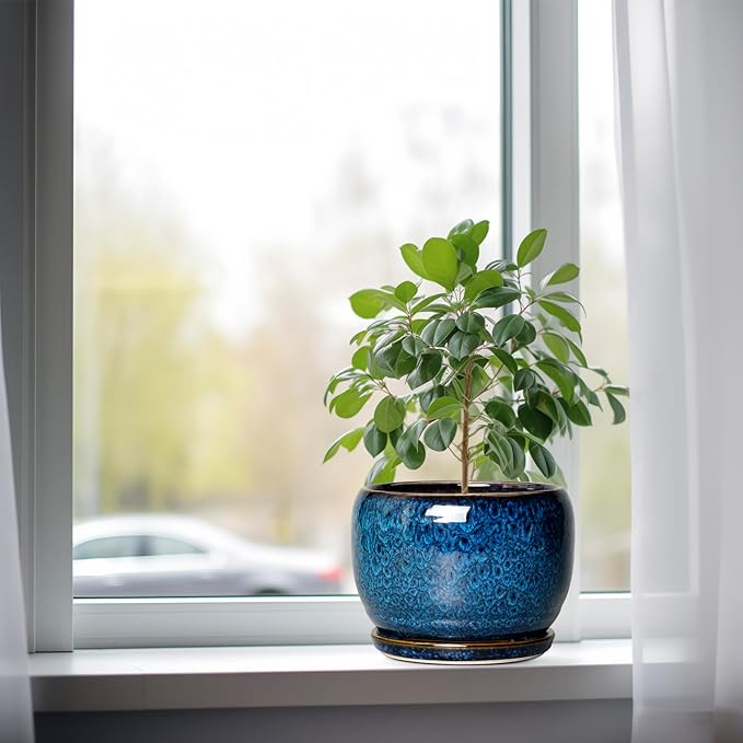 SQOWL Ceramic Planter 8 Inch - Pot for Indoor Outdoor Plants Round Ceramic Plant Pot with Drainage Hole and Saucer Modern Flower Pot Glazed Blue
