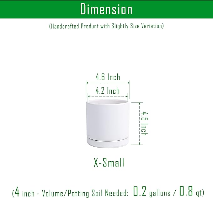 D'vine Dev Set of 2 Plants Pot, 4.6 Inch Ceramic Planter Pot for Plants with Drainage Hole and Saucer, White, 94-V-B-1