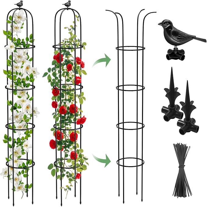 2 Pcs Garden Trellis for Climbing Plants, 6.2 Ft Rustproof Metal Pipe with Heavy Duty Plastic Coated, Garden Outdoor Indoor Potted Plant Support, Obelisk Garden Trellis for Climbing Vine