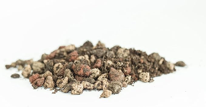 Bonsai Soil Mix, Ready to Use - Bonsai Potting Soil - Great Drainage, Soil - Soil Can Also Be Used for Succulent, Cactus, Money Tree - Akadama Soil - Pumice for Plants