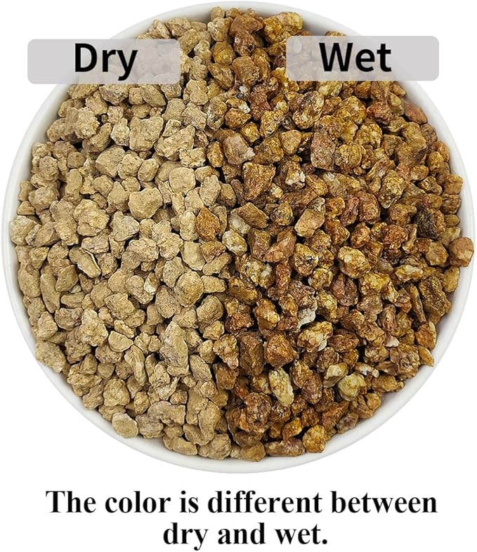 Succulent and Cactus Maifanitum Stones Garden Accessorie Rocks Pumice for Indoor Plants, Bonsai, Fairy Gardening, Vases Fillers, Terrarium, 5lb