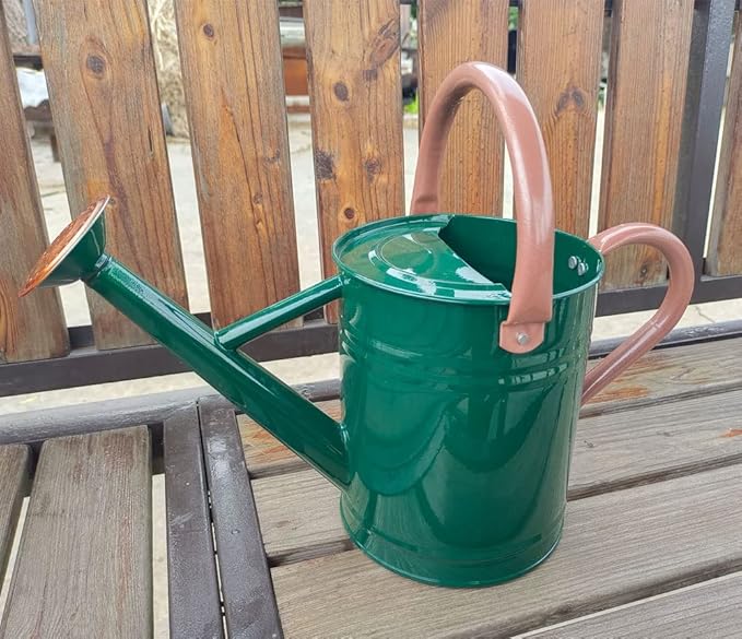 Metal Watering Can for Outdoor and Indoor Plants, Watering Can Decor, 1 Gallon (NewGreen)