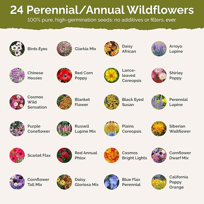 Eden Brothers Arkansas Wildflower Mixed Seeds for Planting, 1 lb, 480,000+ Seeds with African Daisy, Cosmos | Attracts Pollinators, Plant in Spring or Fall, Zones