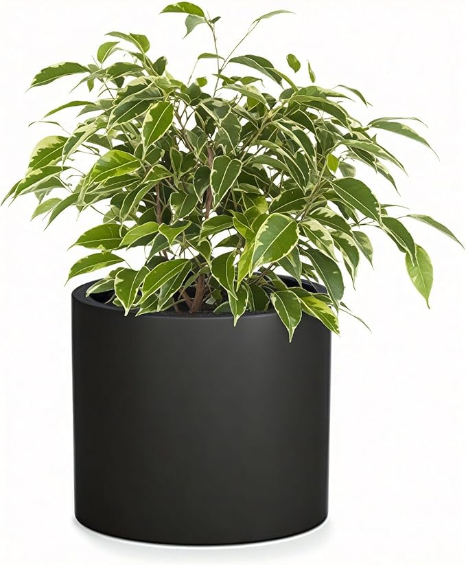 Fox & Fern 10 Inch Black Plant Pot with Drainage Plug — Premium Lightweight Fiberstone Matte Black Planter; 10 Inch Pots for Plants; for Indoor & Outdoor Use; Weather Resistant & UV Resistant