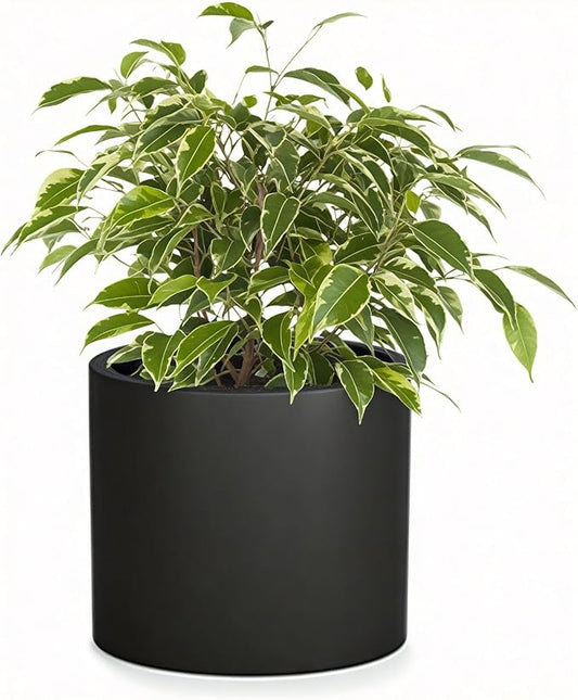 Fox & Fern 10 Inch Black Plant Pot with Drainage Plug — Premium Lightweight Fiberstone Matte Black Planter; 10 Inch Pots for Plants; for Indoor & Outdoor Use; Weather Resistant & UV Resistant