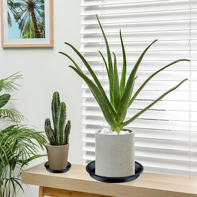 9 Packs Black Plant Saucers (6 inch /8 inch /10 inch) inch Plastic Plant Trays Thicker Sturdier Plant Pot Saucers Stronger Flower Pot Tray for Indoor Outdoor- Black