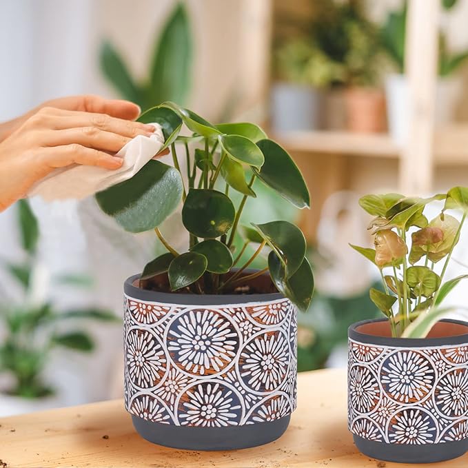 DeeCoo 3 Piece Ceramic Plant pots for Indoor with Drainage Holes, 5.7/4.7/3.5/inch, Modern Decorative Flower pots Outdoor Plants Lilies, Cacti, Succulents, Snakes, and Bamboo (Gray)